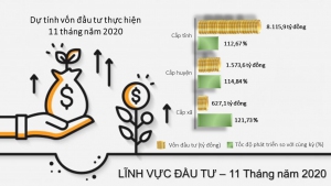 Infographic tình hình kinh tế - xã hội thành phố Hải Phòng tháng 11/2020