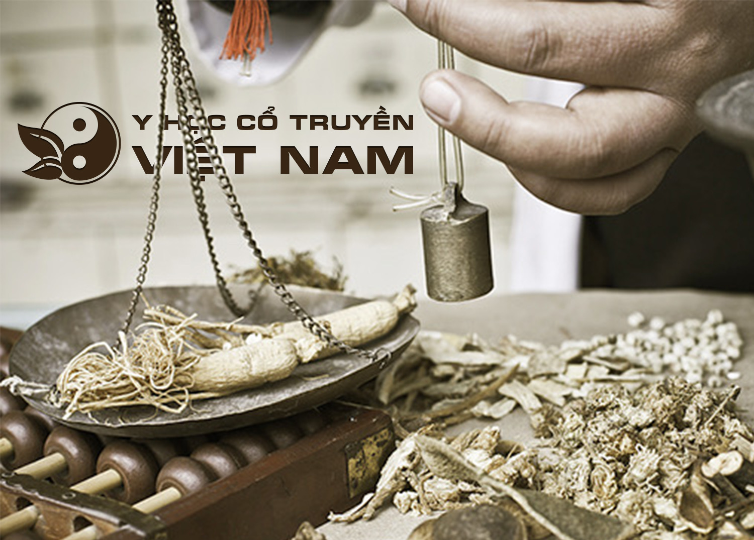 Phát triển y học cổ truyền Việt Nam gắn với chăm sóc sức khỏe Nhân dân và phát triển đất nước